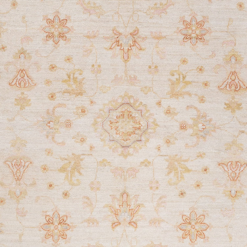 Ziegler Teppich - 241 x 175 cm - creme