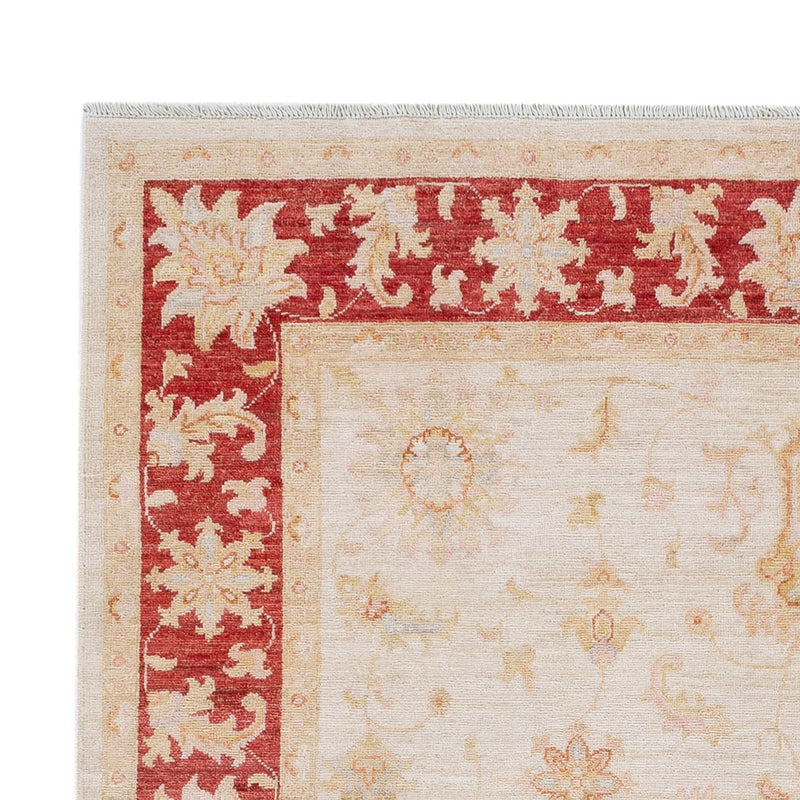 Ziegler Teppich - 241 x 175 cm - creme