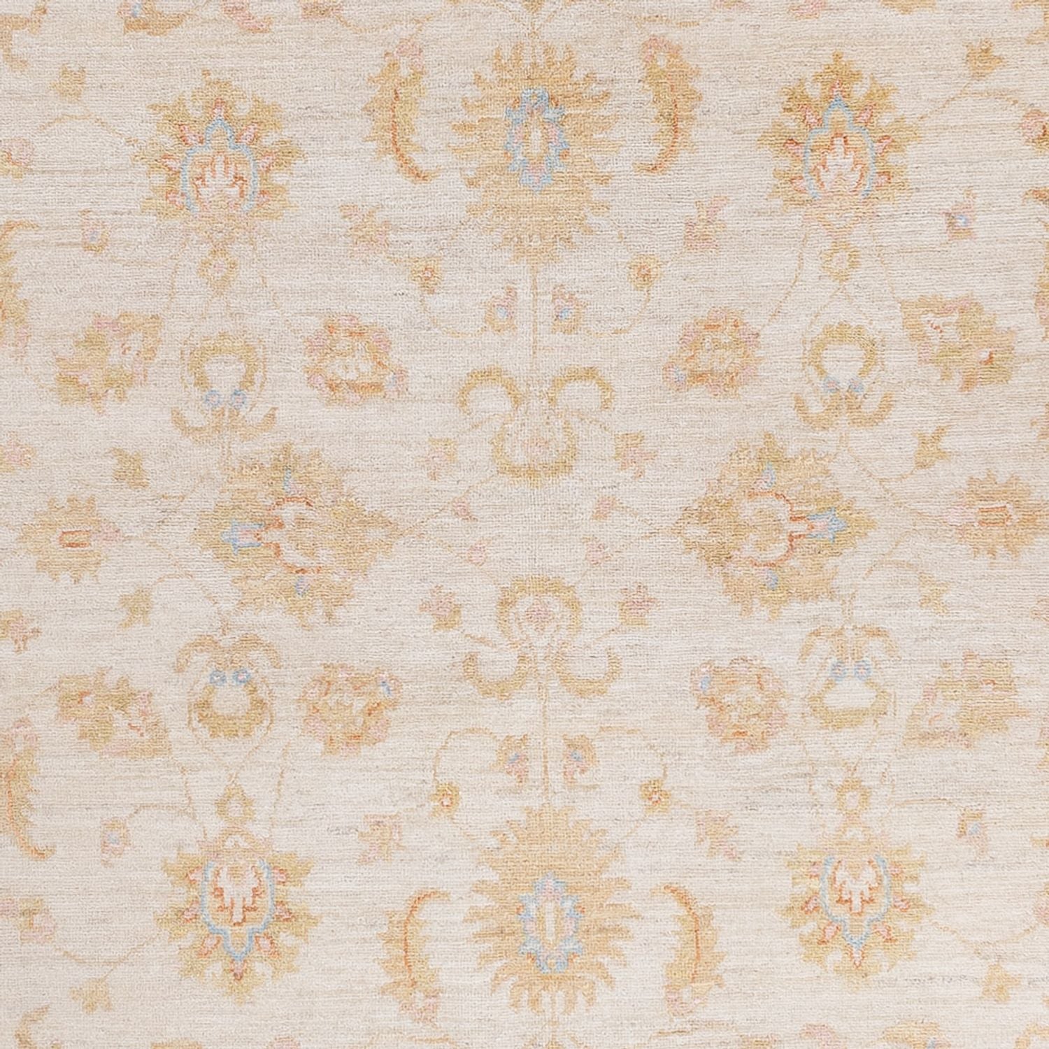 Ziegler Teppich - 242 x 172 cm - creme