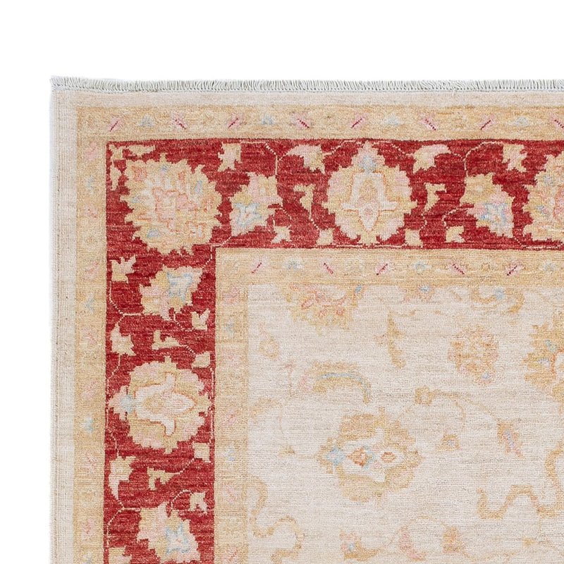 Ziegler Teppich - 242 x 172 cm - creme