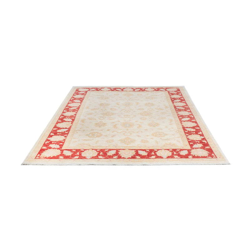 Ziegler Teppich - 242 x 172 cm - creme
