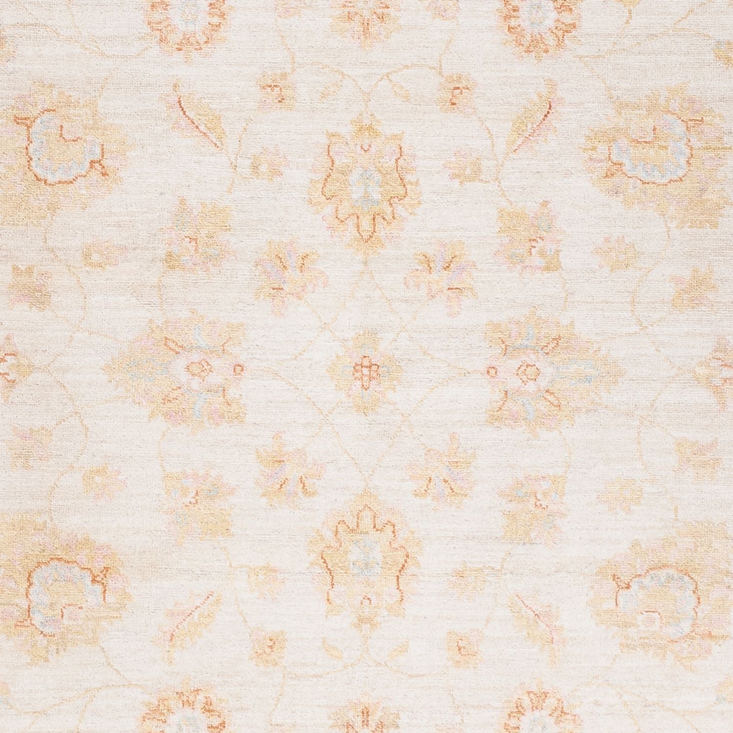 Ziegler Teppich - 240 x 172 cm - creme