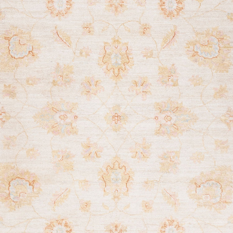 Ziegler Teppich - 240 x 172 cm - creme