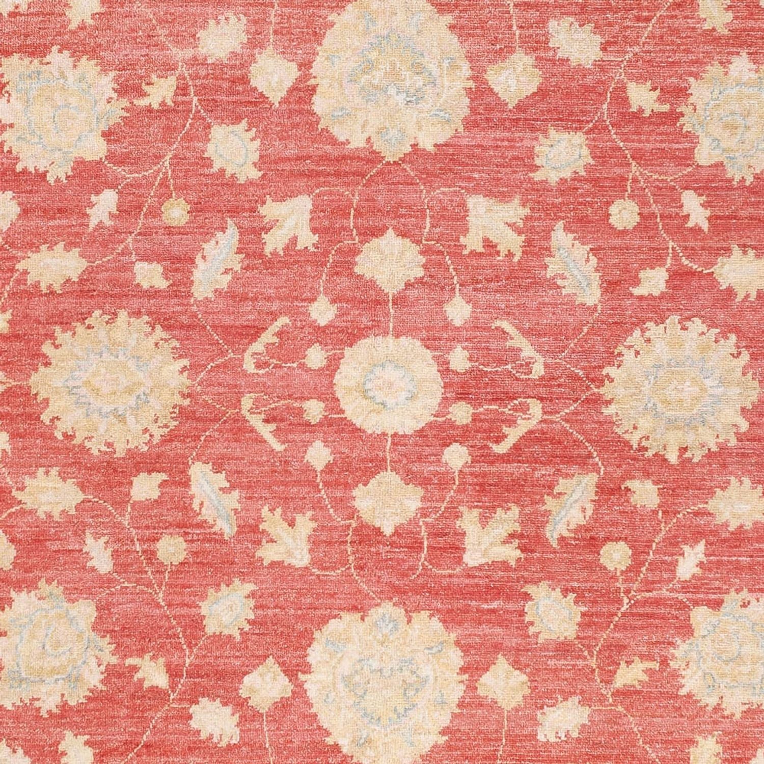 Ziegler Teppich - 251 x 173 cm - rot