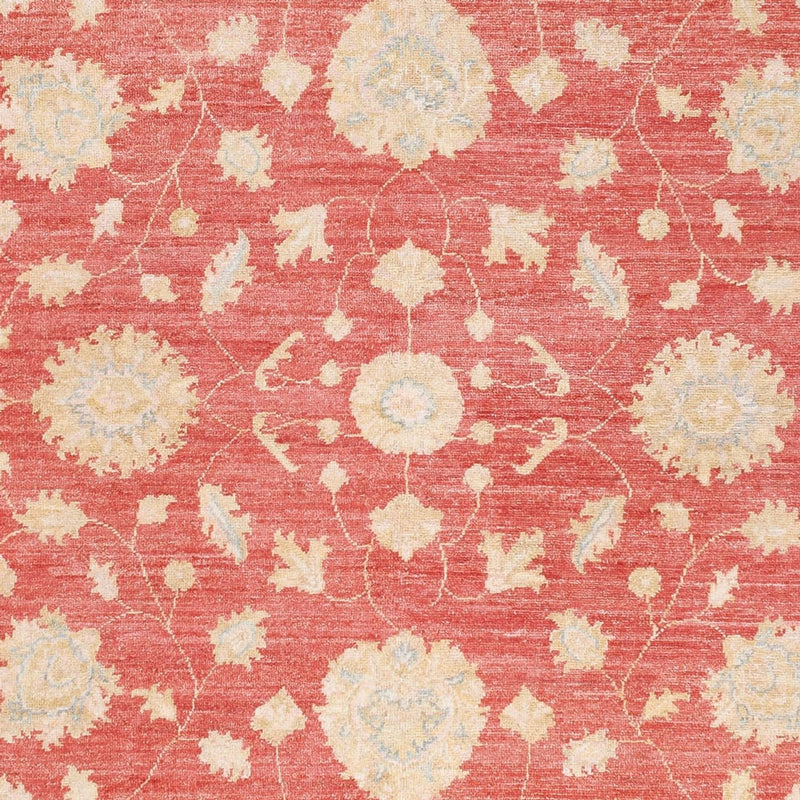 Ziegler Teppich - 251 x 173 cm - rot