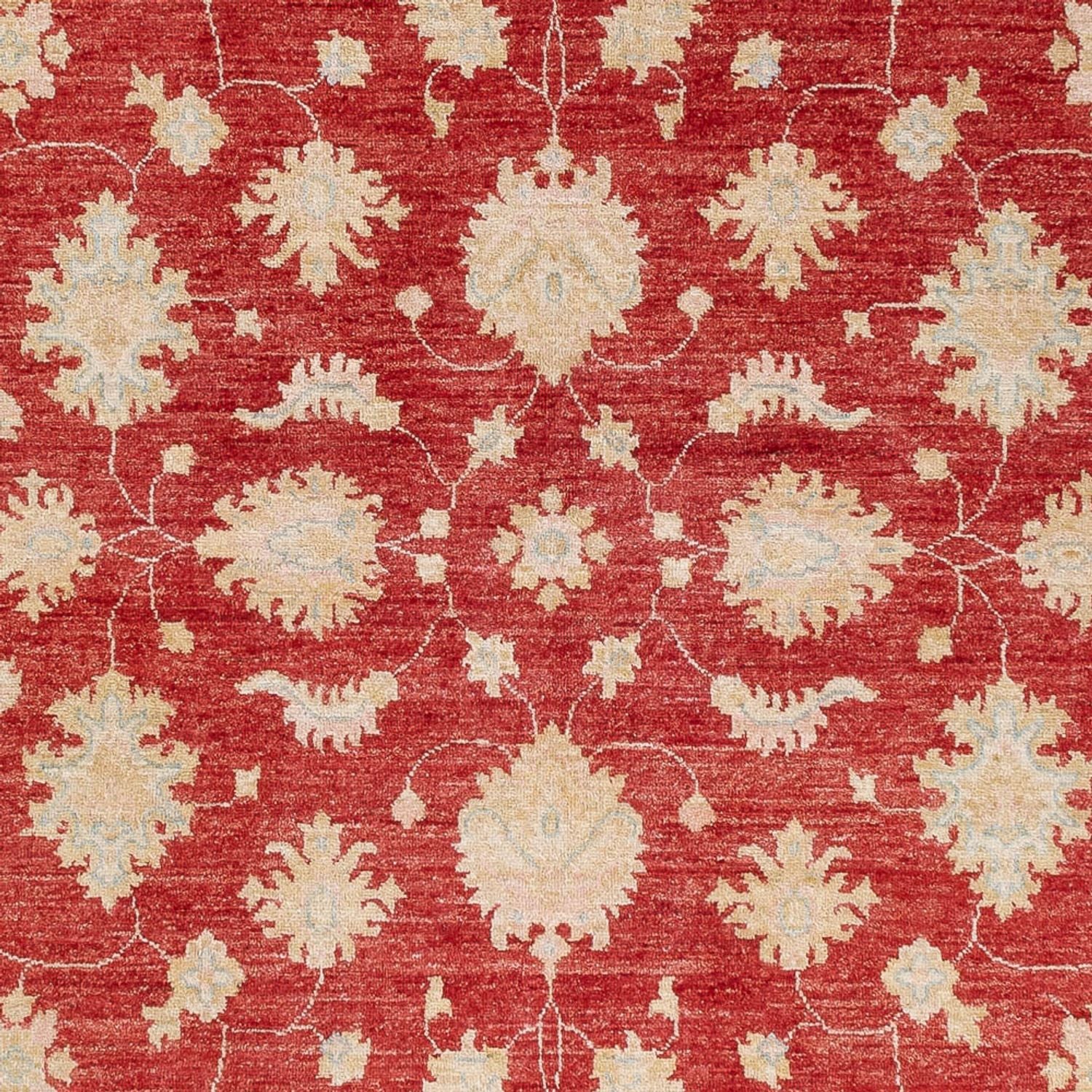 Ziegler Teppich - 239 x 168 cm - rot