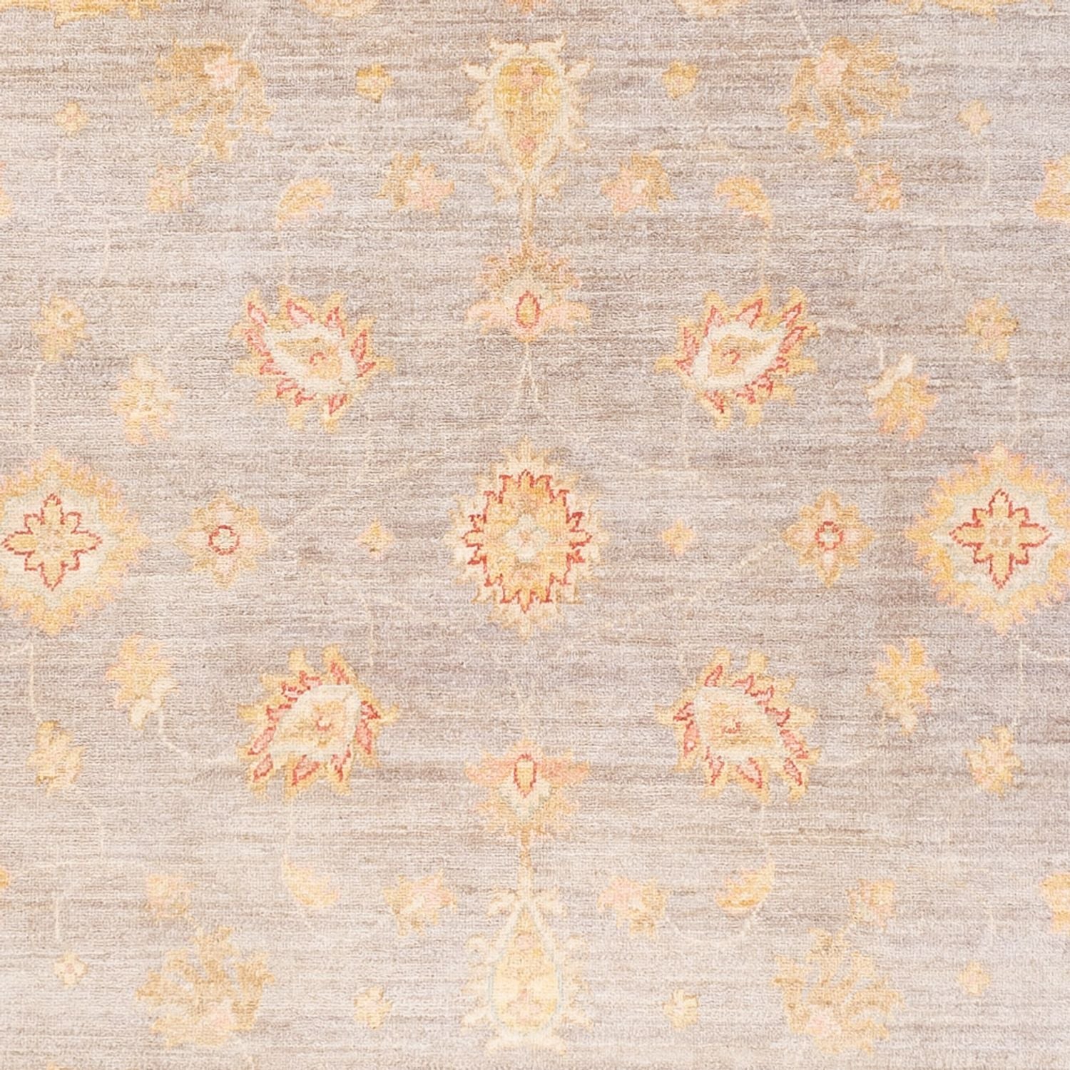 Ziegler Teppich - Ariana - 241 x 169 cm - flieder