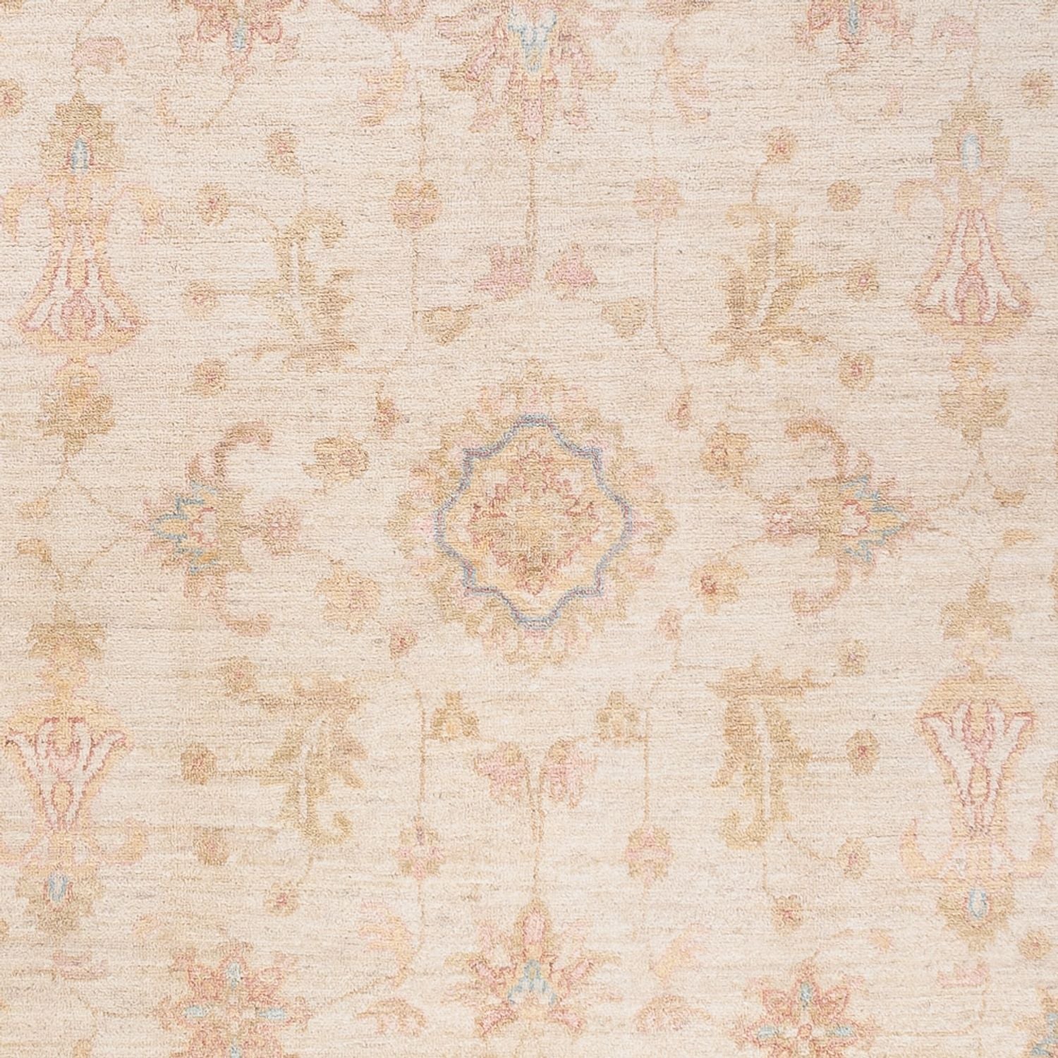Ziegler Teppich - 254 x 168 cm - beige