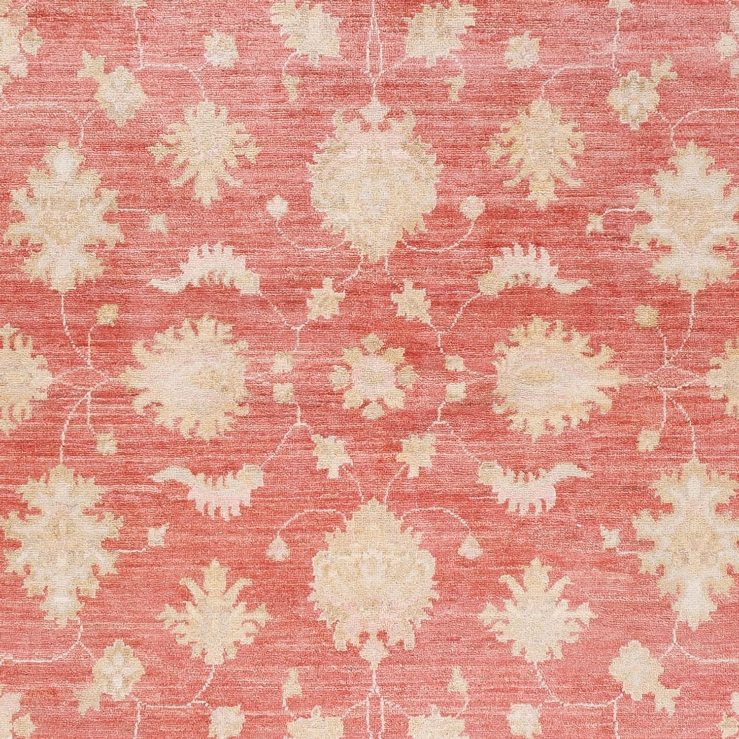 Ziegler Teppich - 248 x 174 cm - rot