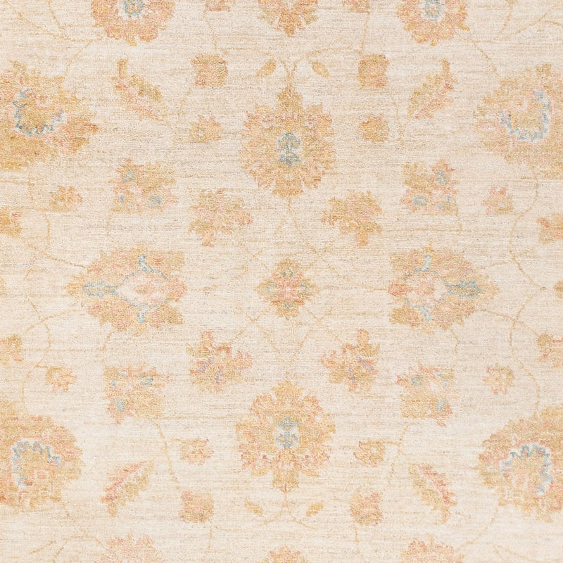 Ziegler Teppich - 244 x 169 cm - beige