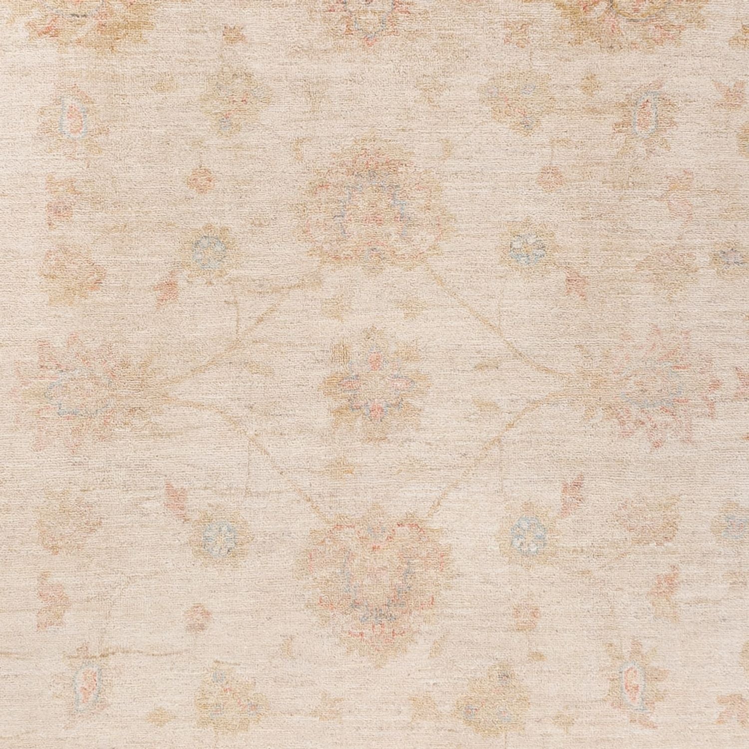 Ziegler Teppich - Ariana - 229 x 170 cm - beige