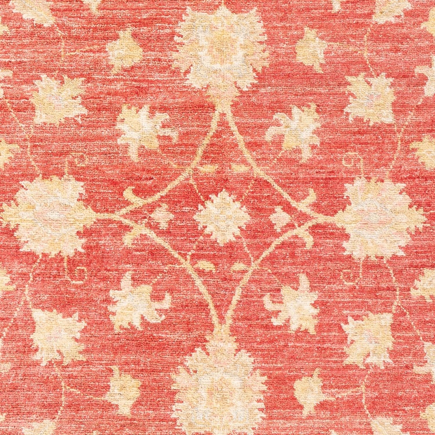 Ziegler Teppich - 176 x 116 cm - rot