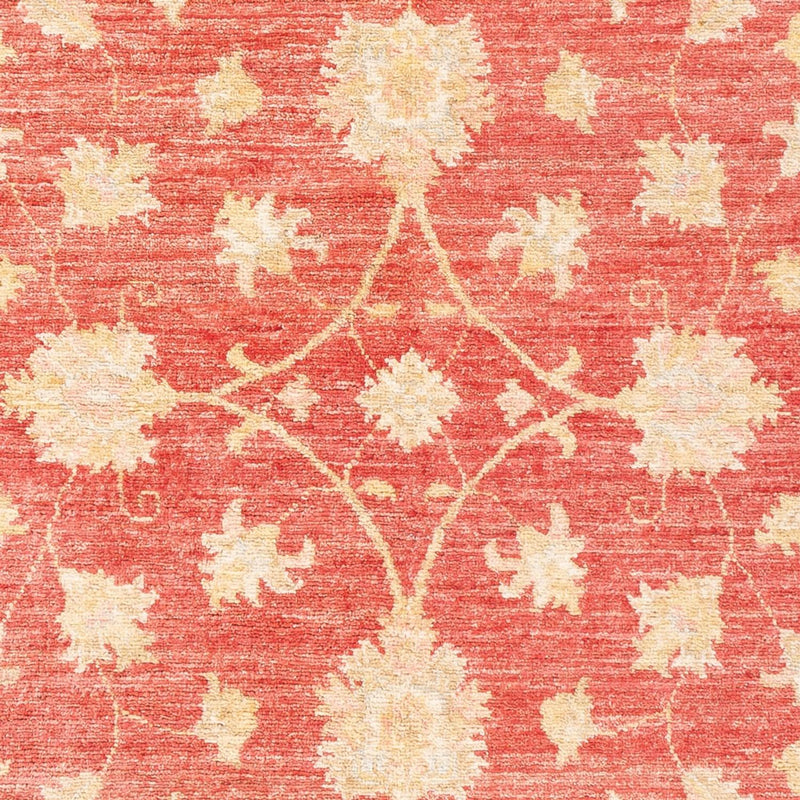 Ziegler Teppich - 176 x 116 cm - rot