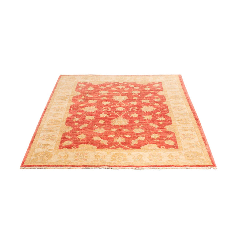 Ziegler Teppich - 176 x 116 cm - rot