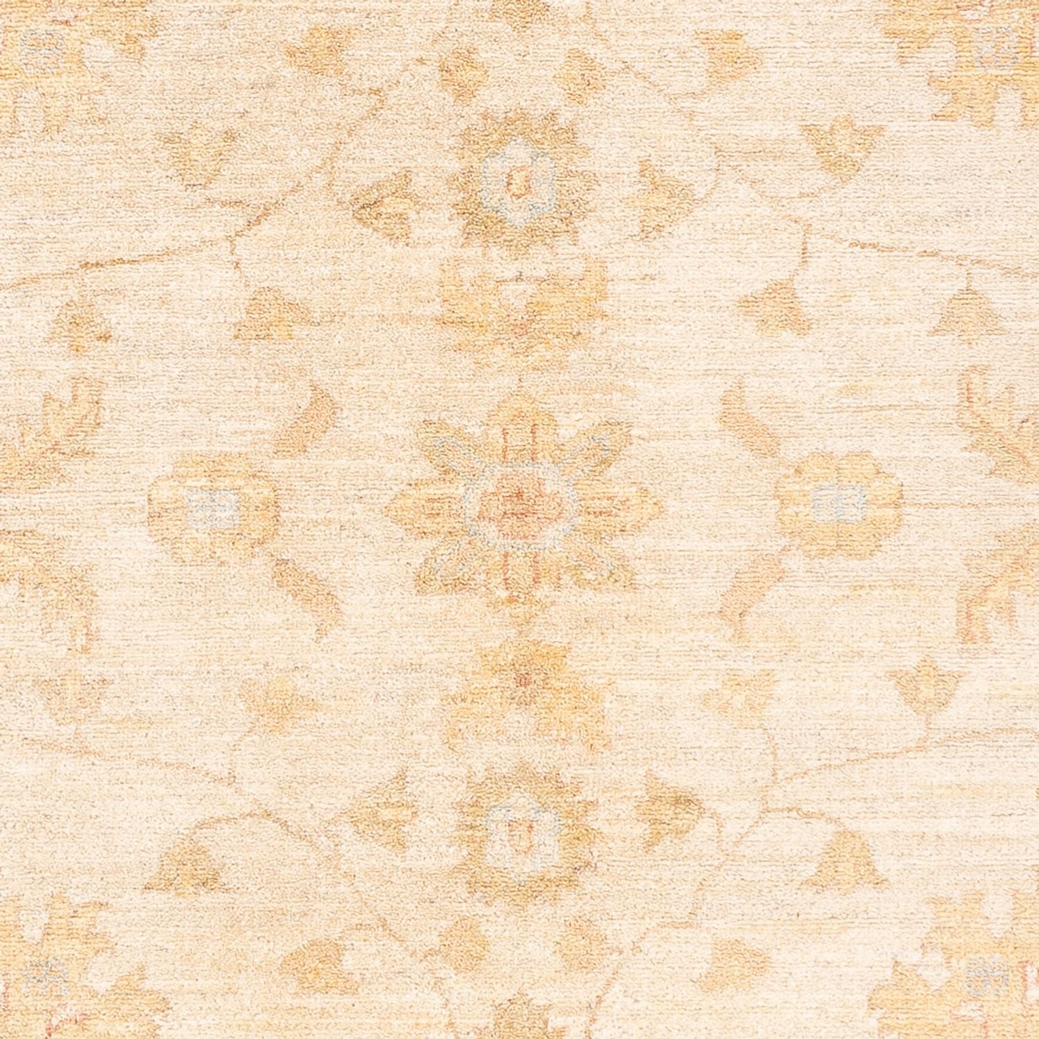 Ziegler Teppich - 180 x 127 cm - beige