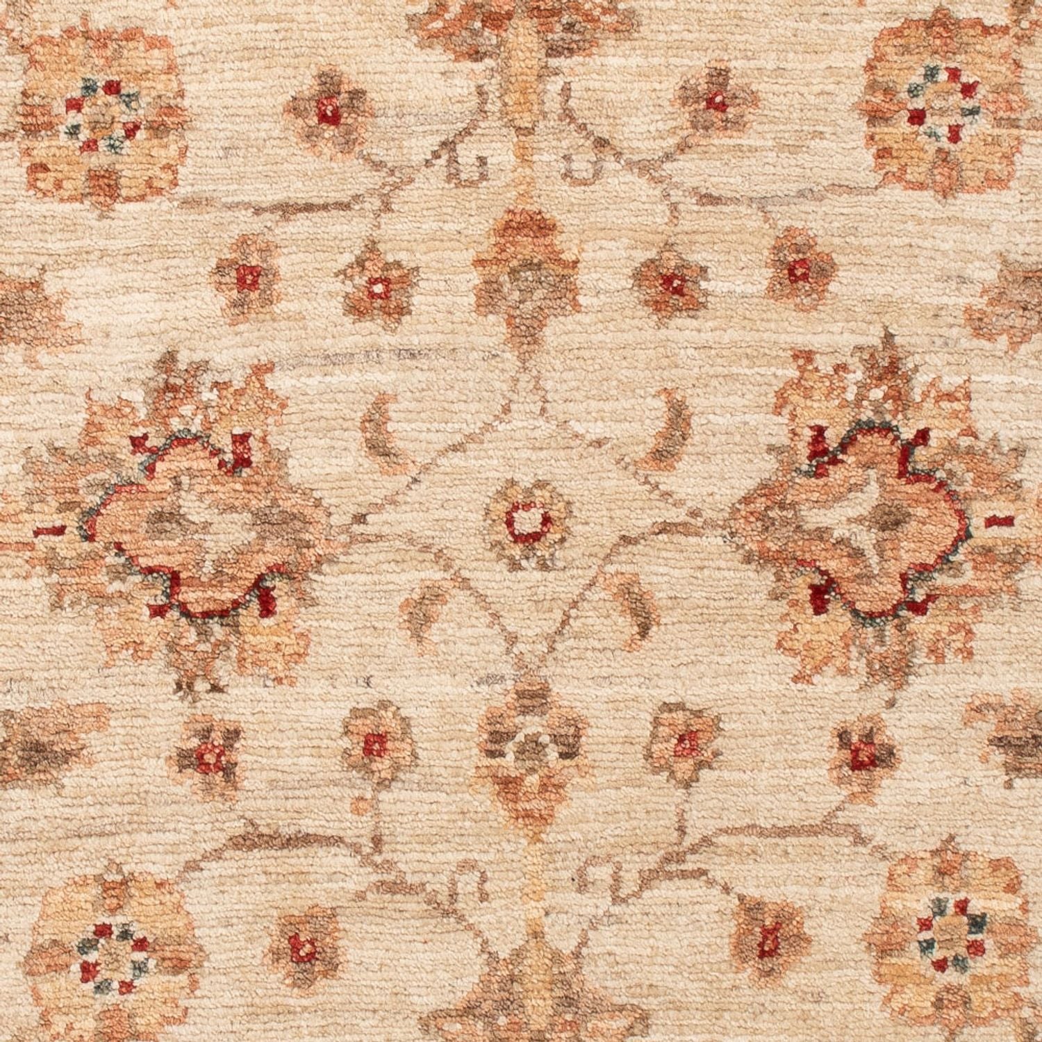 Ziegler Teppich - 119 x 78 cm - beige