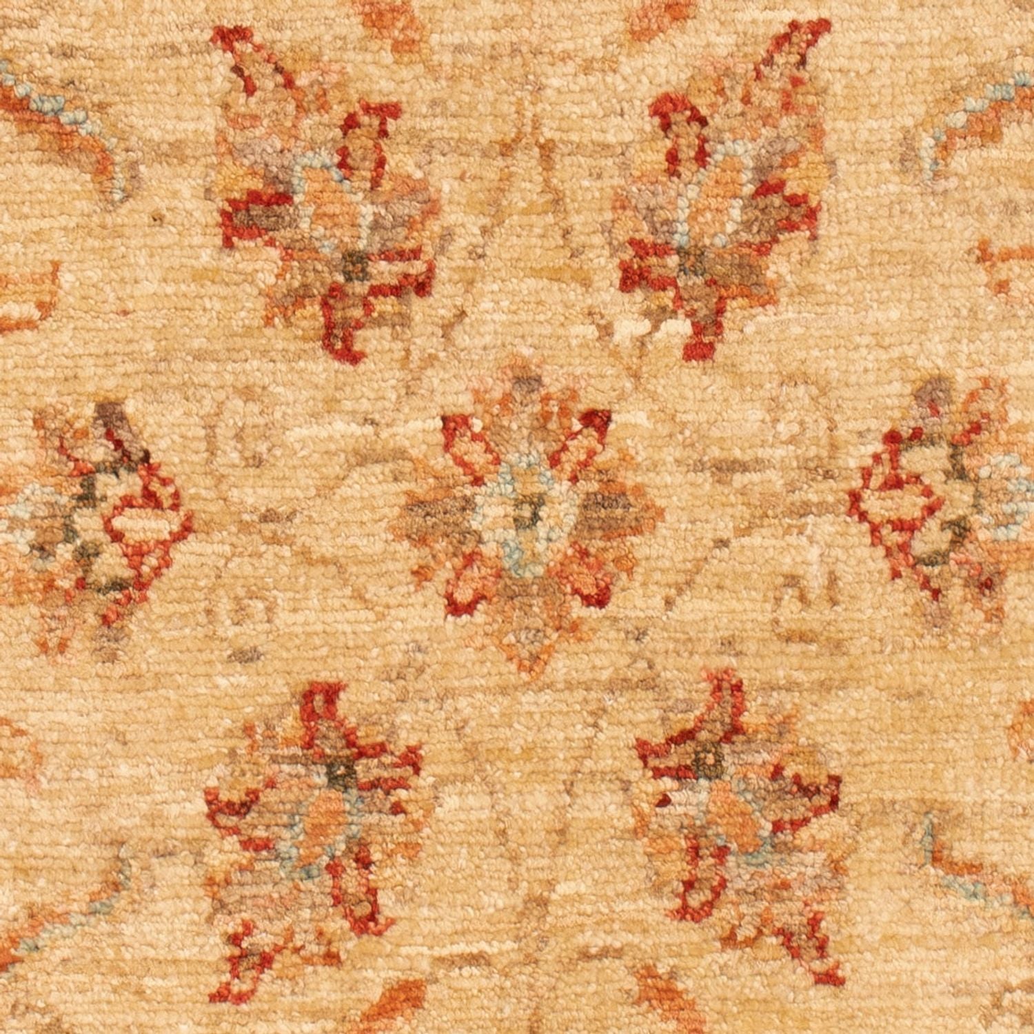 Ziegler Teppich - 102 x 61 cm - beige