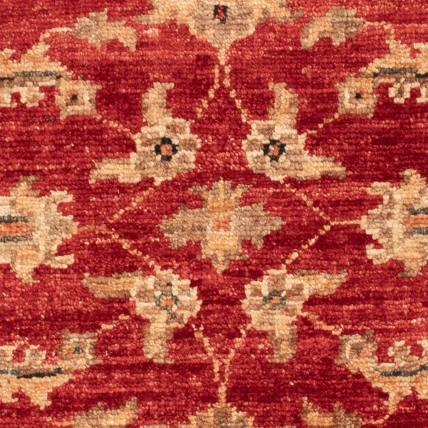 Ziegler Teppich - 60 x 52 cm - rot