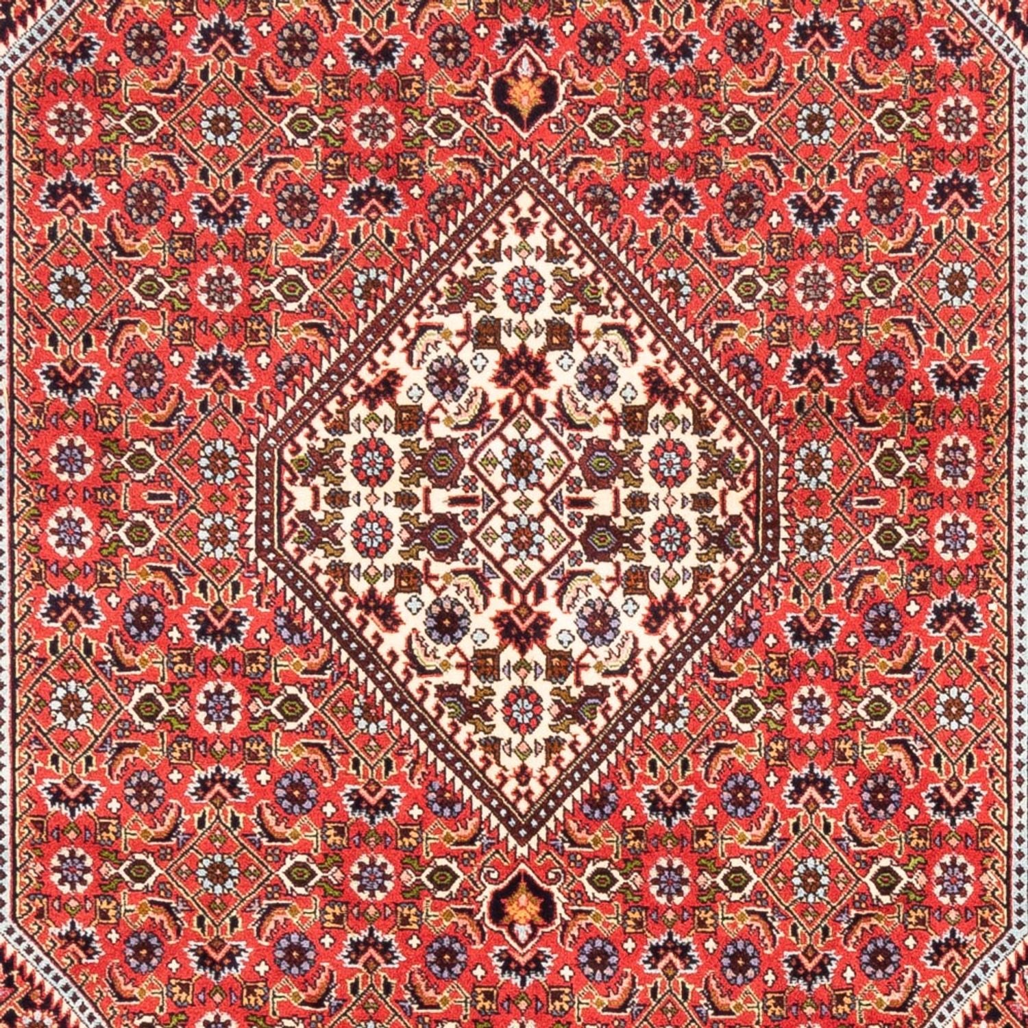 Perserteppich - Bidjar - Royal - 247 x 168 cm - rot
