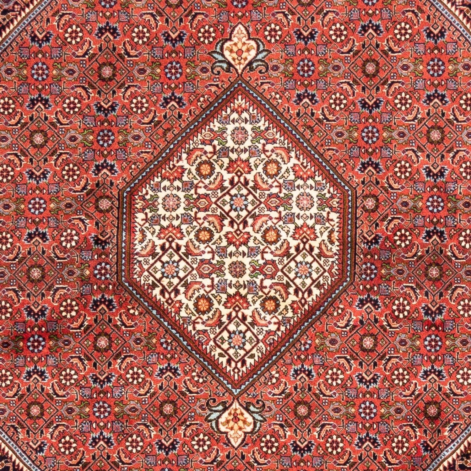 Perserteppich - Bidjar - Royal - 240 x 173 cm - rot