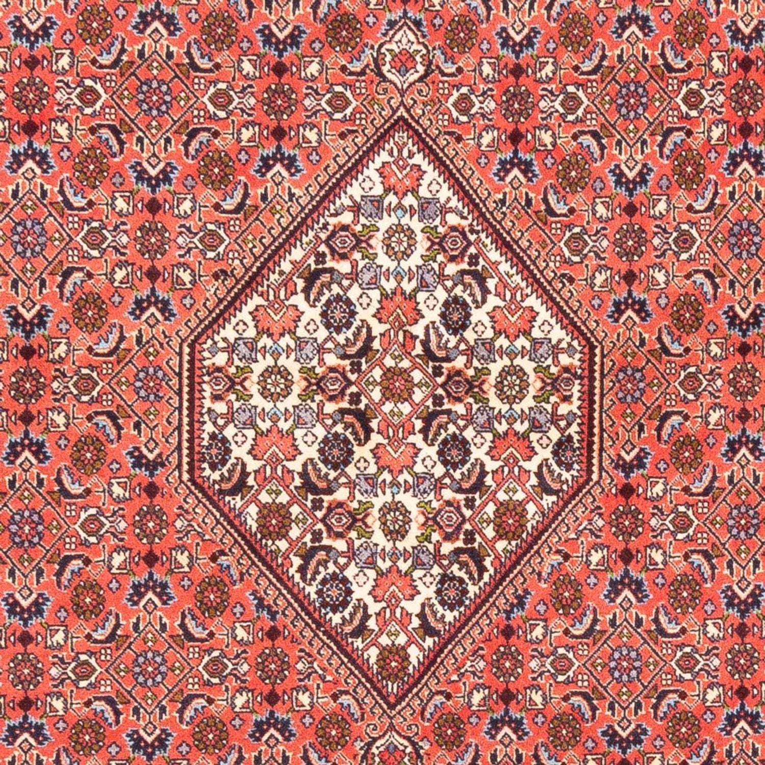 Perserteppich - Bidjar - 242 x 170 cm - rot