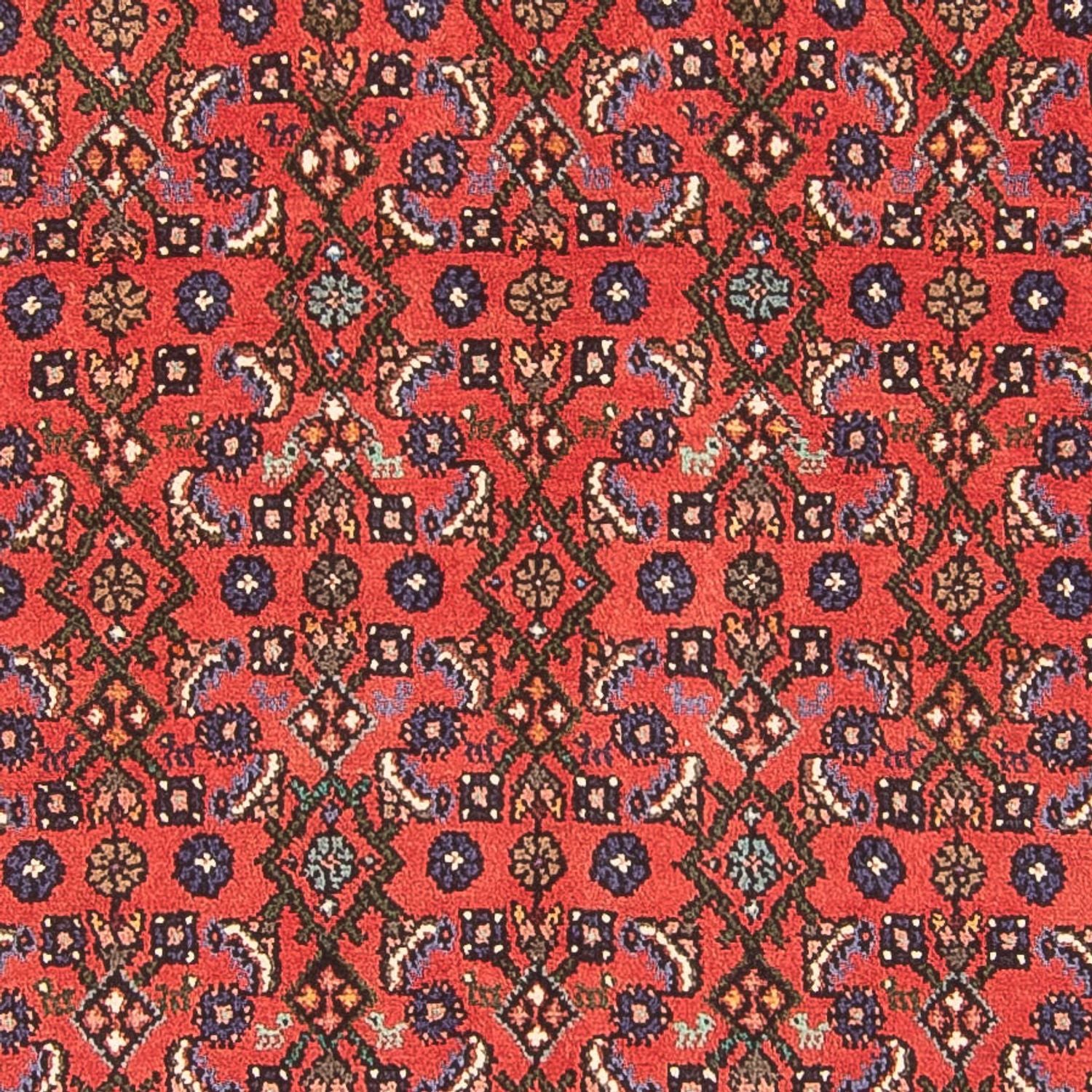 Läufer Perser - Nomadic - 293 x 111 cm - rot
