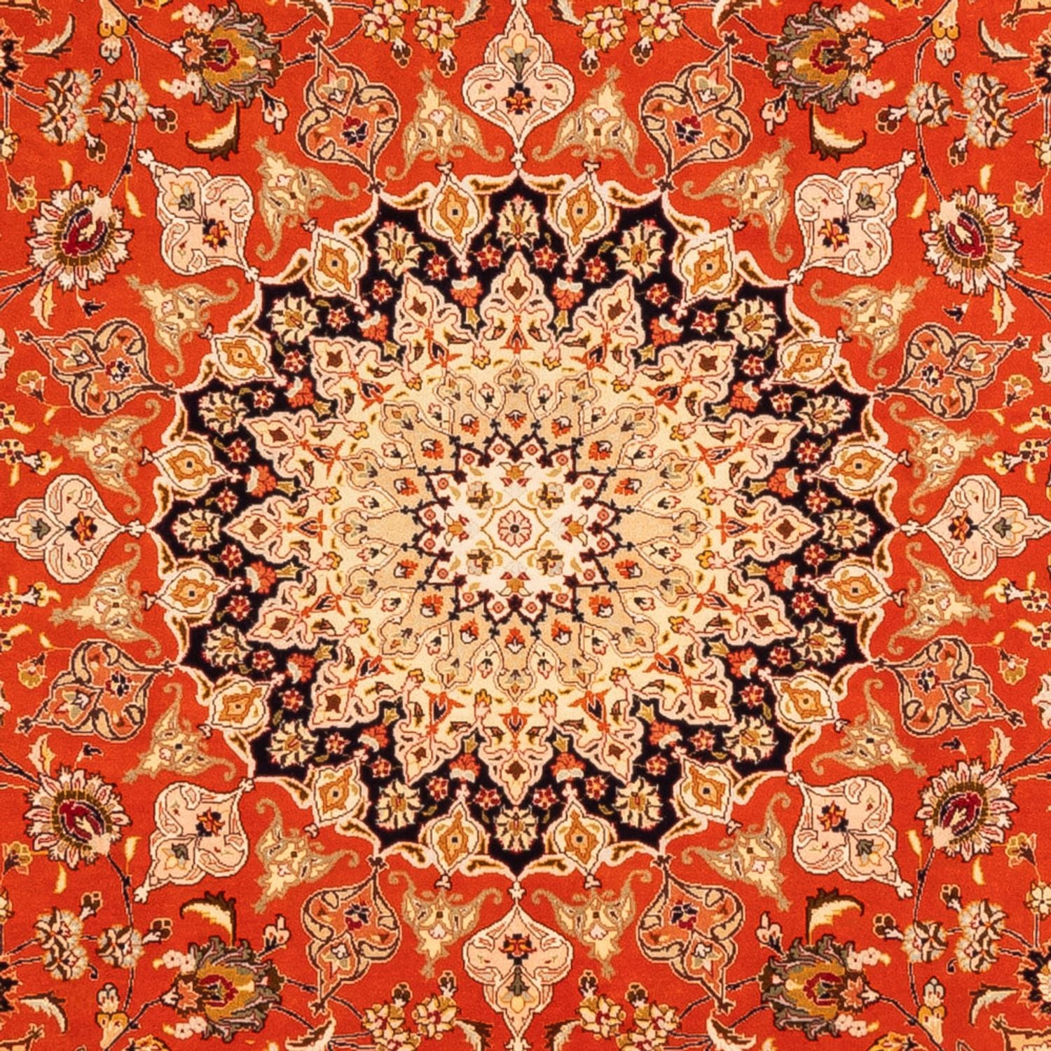 Perserteppich - Täbriz quadratisch  - 253 x 249 cm - orange