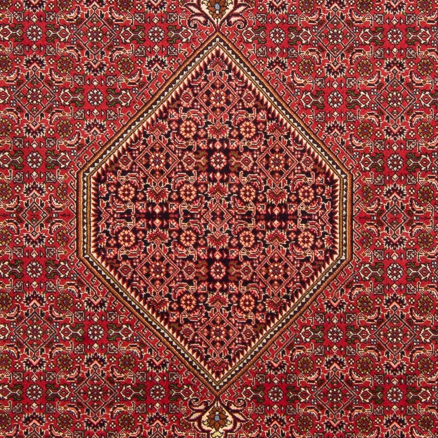 Perserteppich - Bidjar - Royal - 290 x 192 cm - rot