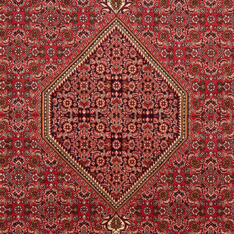 Perserteppich - Bidjar - Royal - 290 x 192 cm - rot