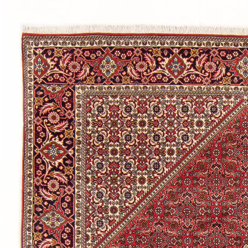 Perserteppich - Bidjar - Royal - 290 x 192 cm - rot