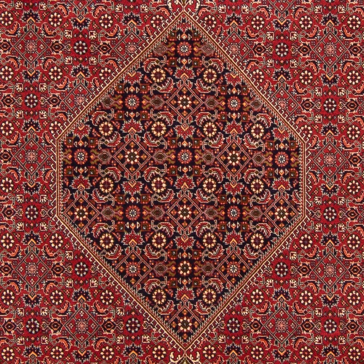 Perserteppich - Bidjar - Royal - 300 x 201 cm - rot