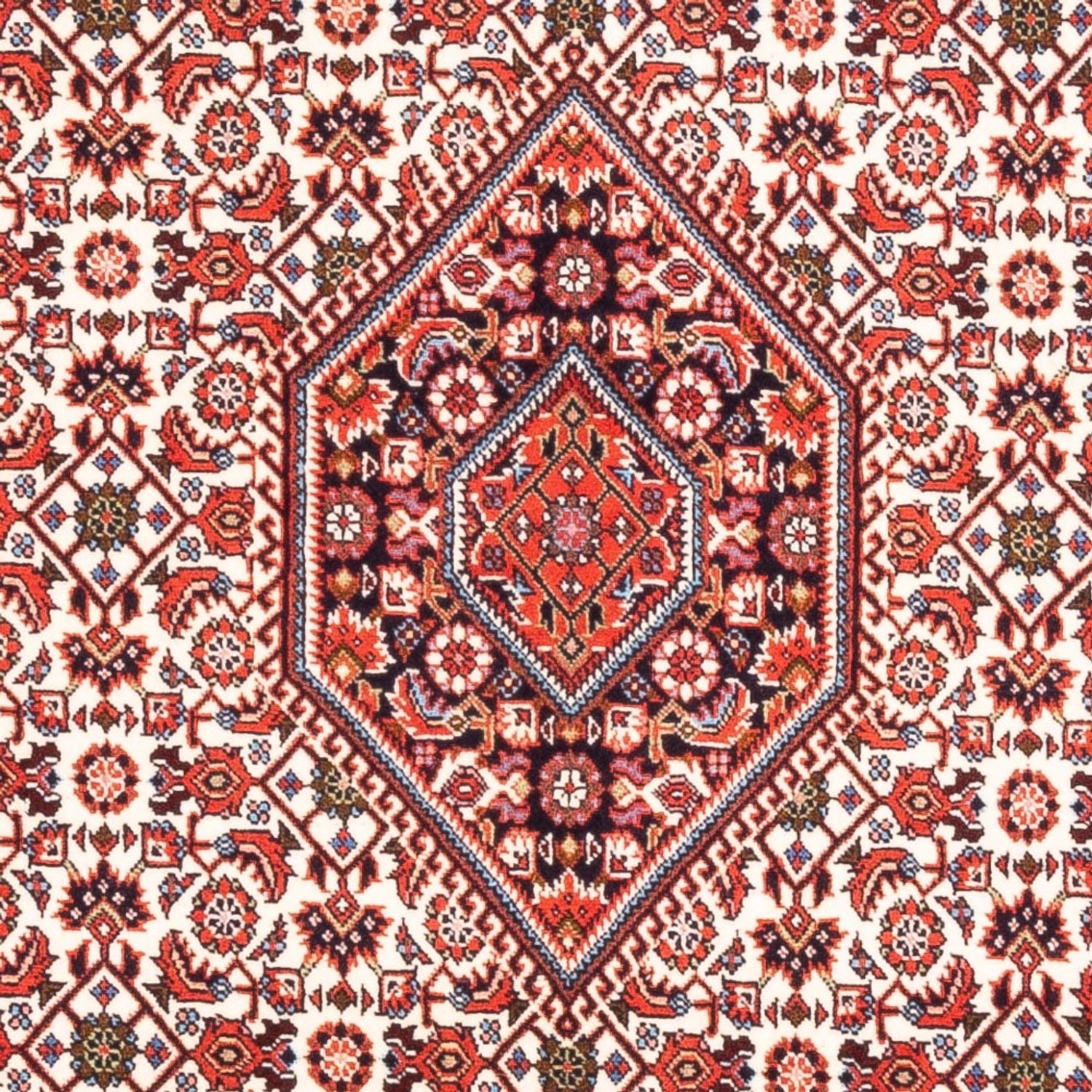 Perserteppich - Bidjar - Royal - 177 x 107 cm - creme