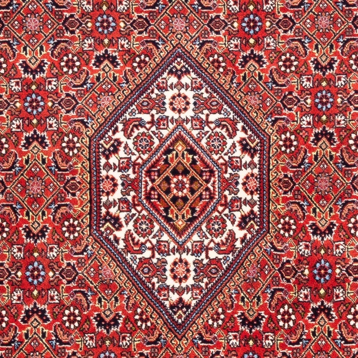 Perserteppich - Bidjar - Royal - 174 x 108 cm - rot