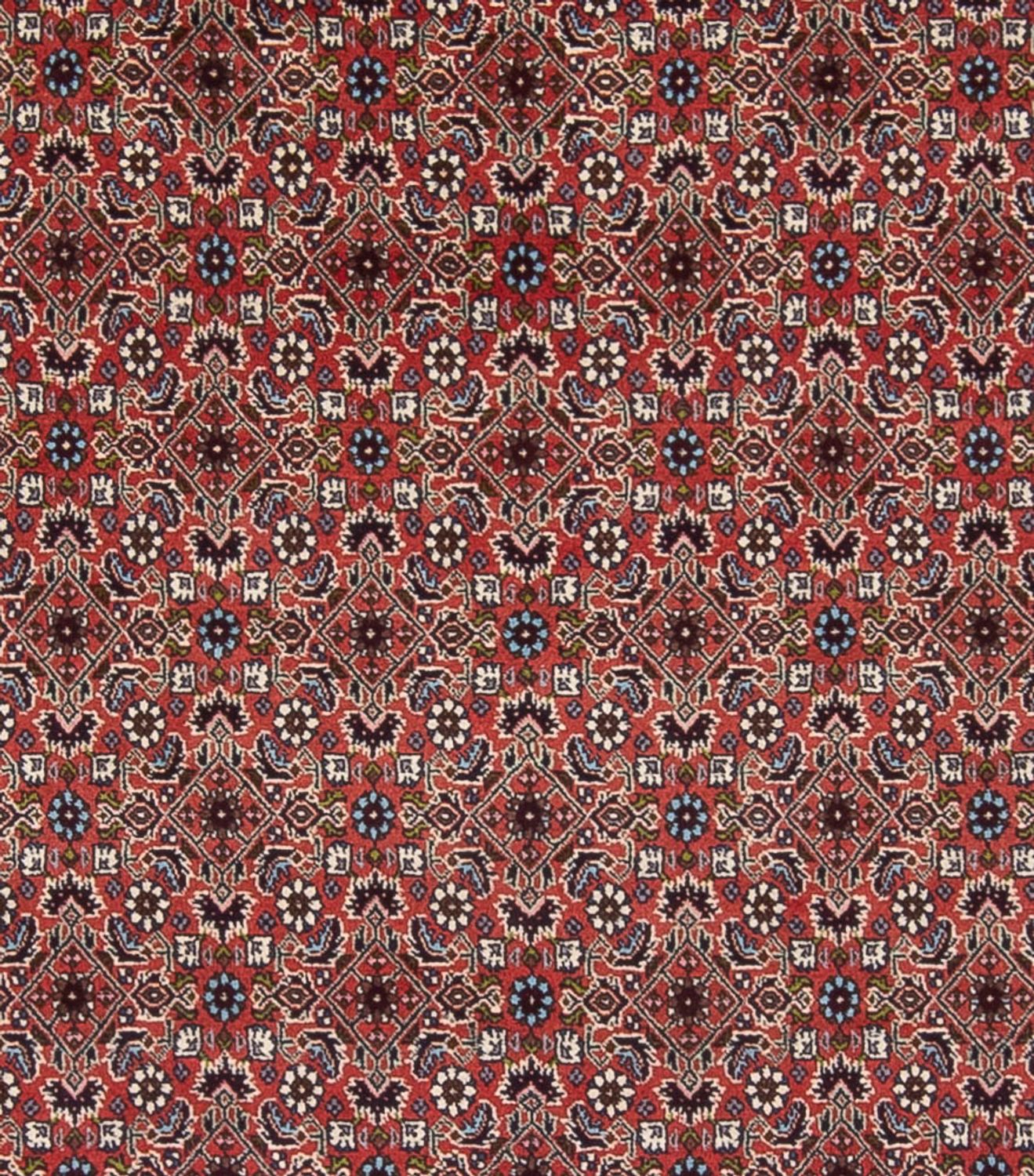 Perserteppich - Bidjar - Royal - 296 x 248 cm - dunkelrot