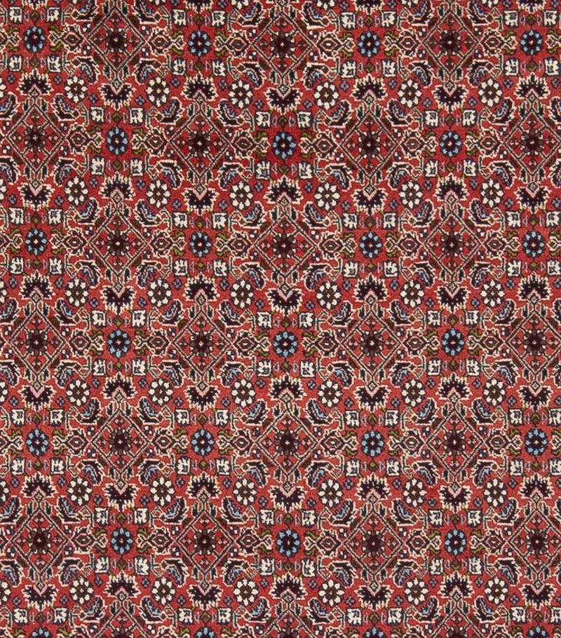 Perserteppich - Bidjar - Royal - 296 x 248 cm - dunkelrot