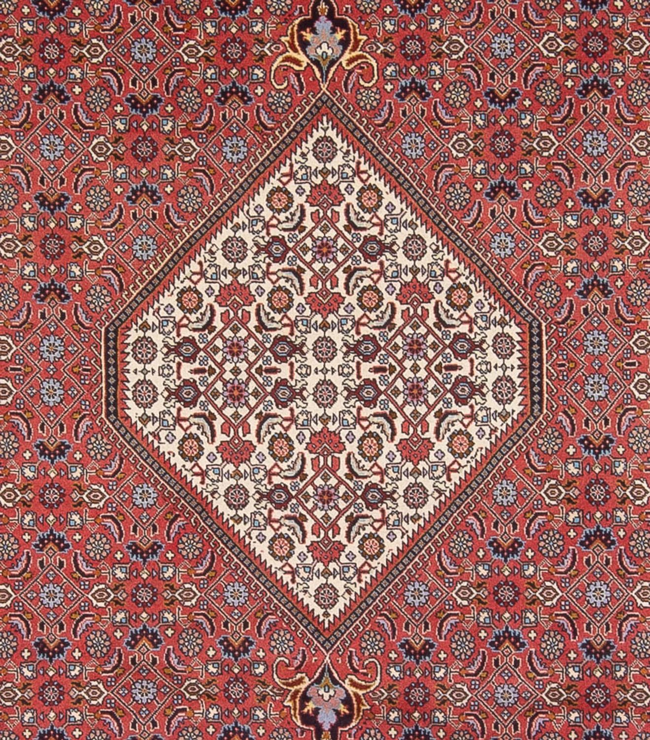 Perserteppich - Bidjar - Royal - 337 x 250 cm - dunkelrot