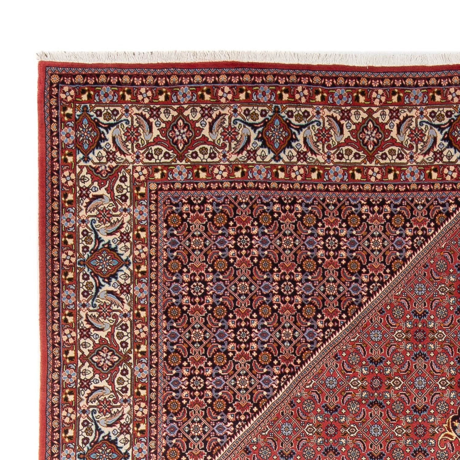 Perserteppich - Bidjar - Royal - 337 x 250 cm - dunkelrot