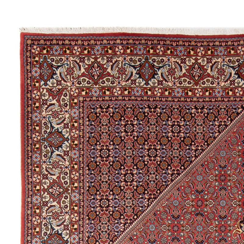 Perserteppich - Bidjar - Royal - 337 x 250 cm - dunkelrot