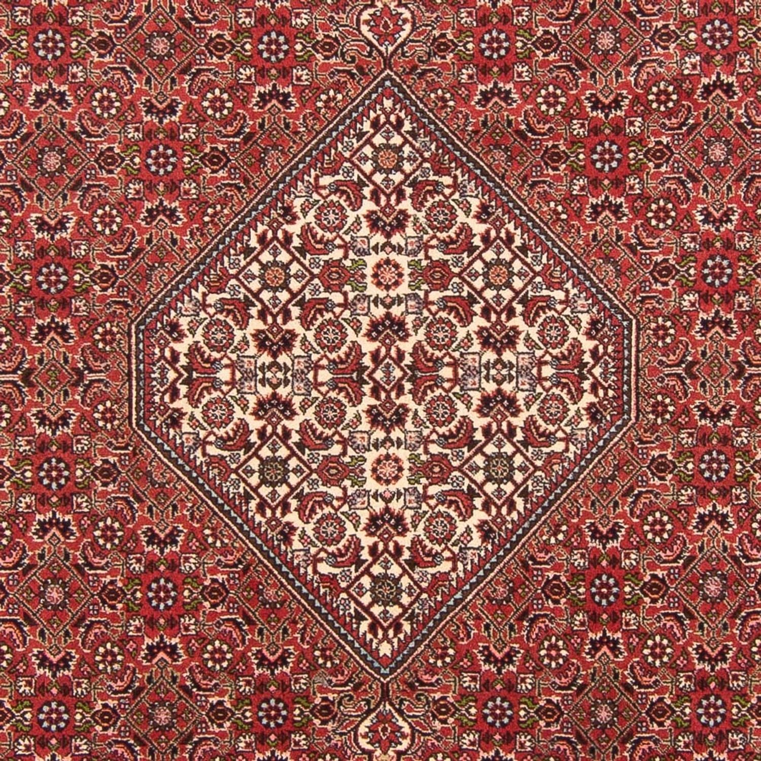 Perserteppich - Bidjar - Royal - 290 x 202 cm - rot