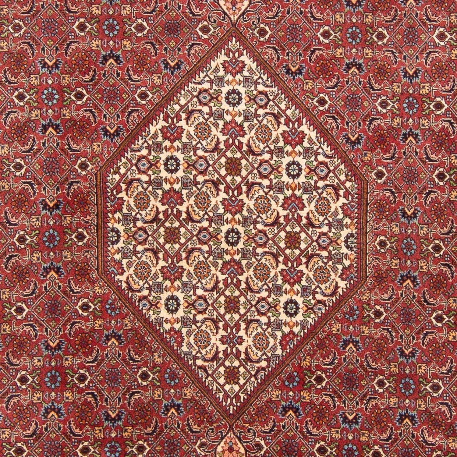 Perserteppich - Bidjar - Royal - 303 x 200 cm - rot