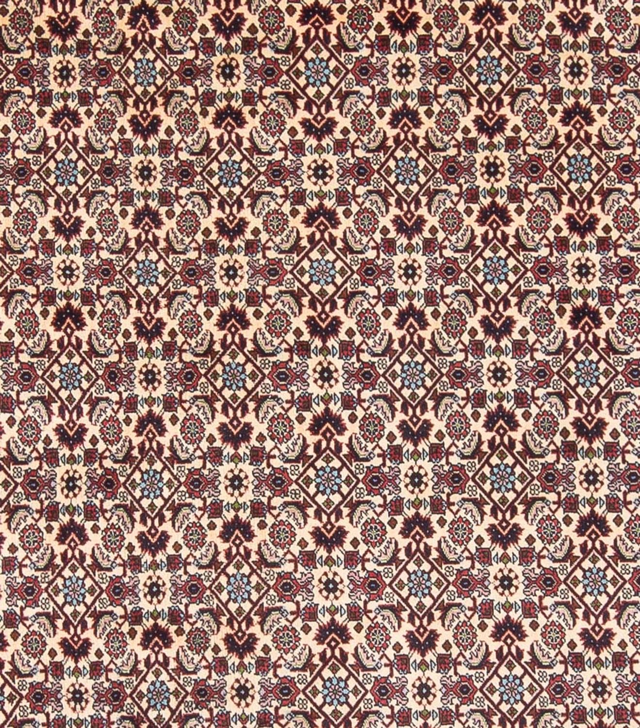 Perserteppich - Bidjar - Royal - 344 x 245 cm - creme
