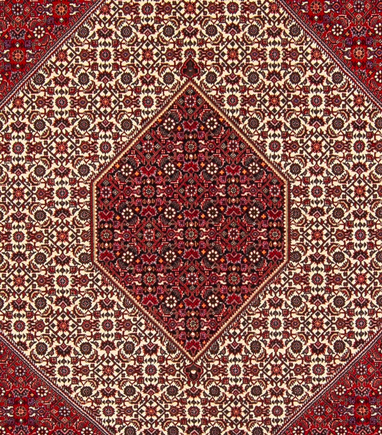 Perserteppich - Bidjar - Royal - 301 x 253 cm - creme