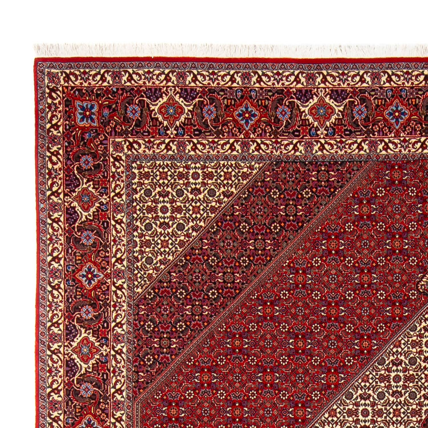 Perserteppich - Bidjar - Royal - 301 x 253 cm - creme