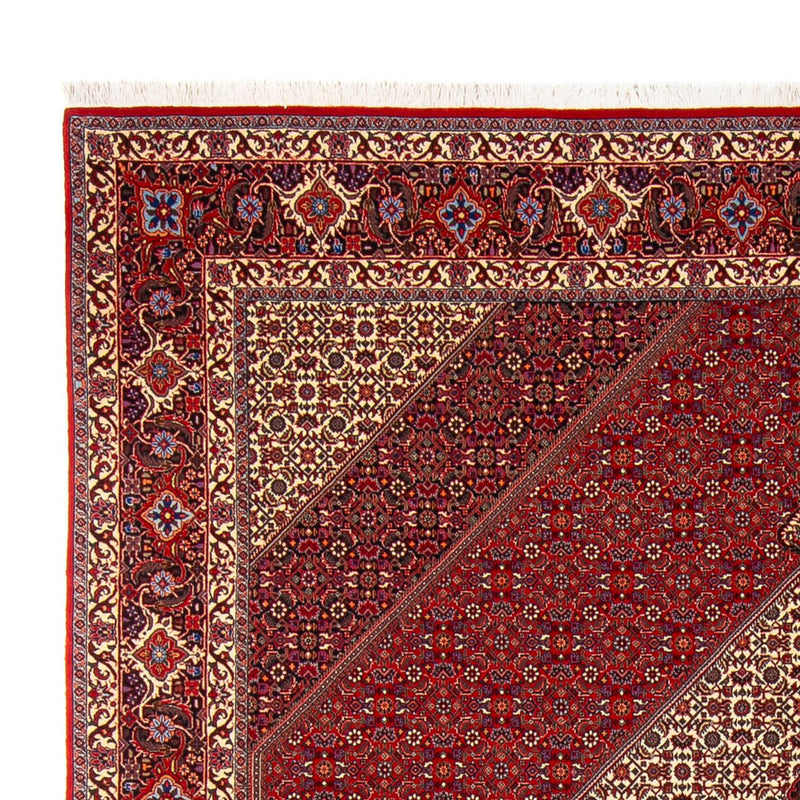 Perserteppich - Bidjar - Royal - 301 x 253 cm - creme