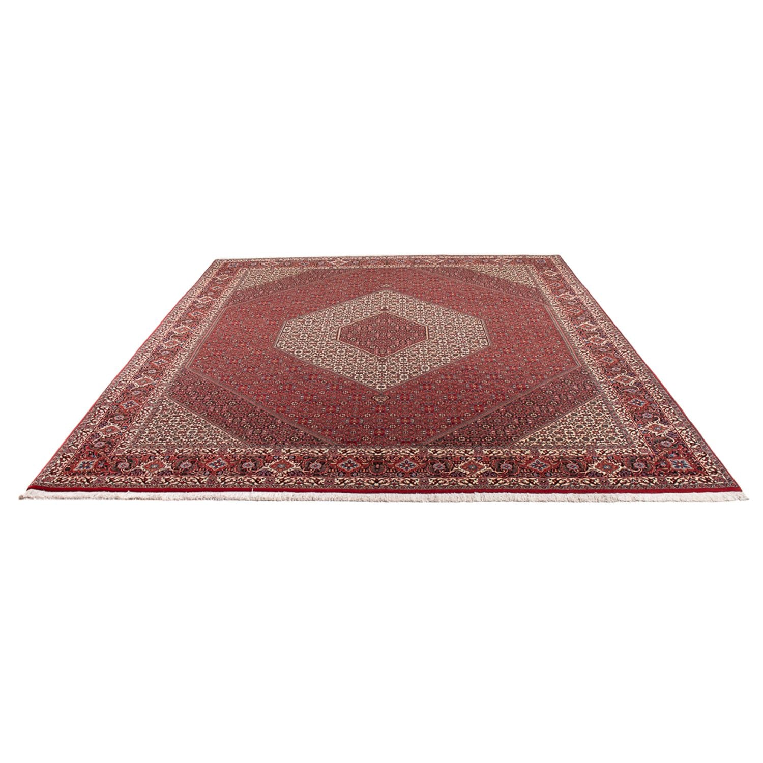 Perserteppich - Bidjar - Royal - 301 x 253 cm - creme