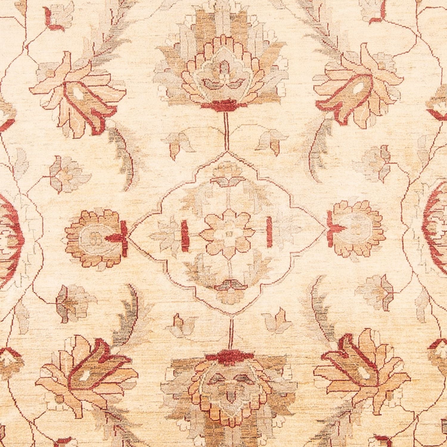 Ziegler Teppich - 455 x 308 cm - creme