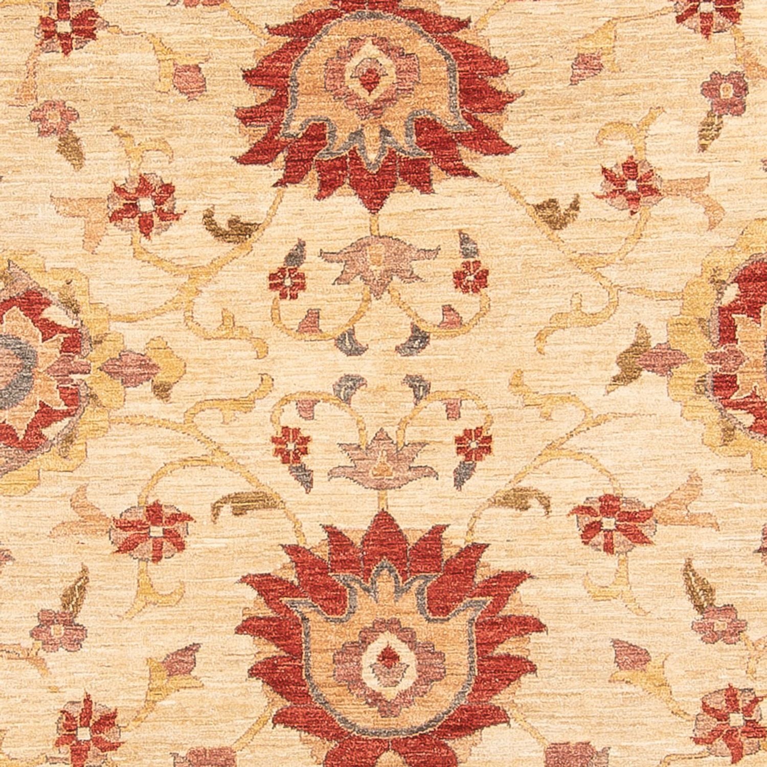 Ziegler Teppich - 347 x 282 cm - beige