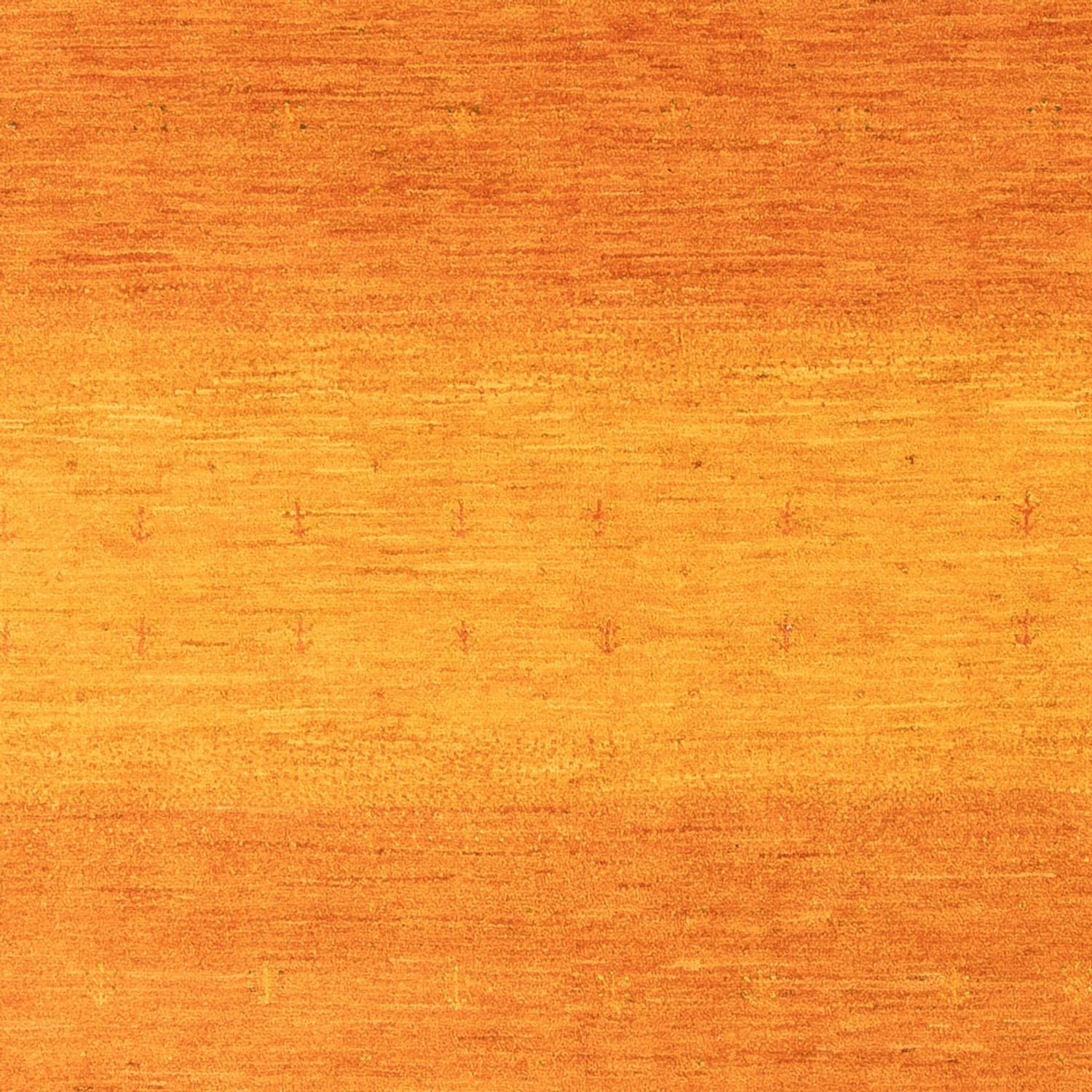 Gabbeh Teppich - Loribaft Perser - 251 x 172 cm - orange