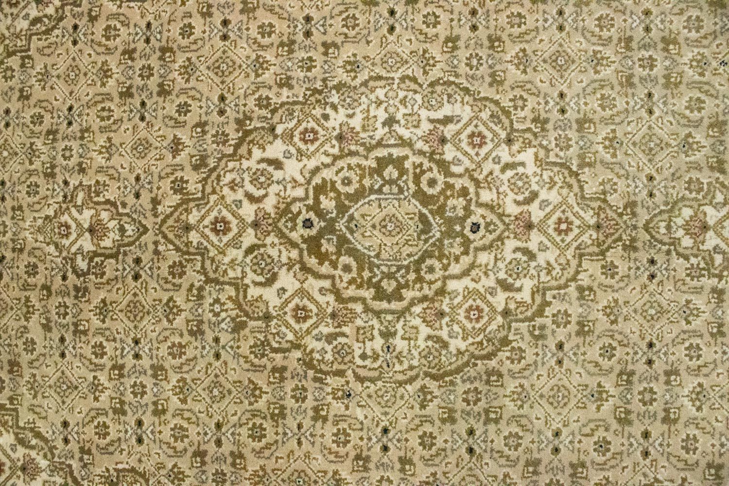 Orientteppich - Bidjar - Indus 185 x 124 cm - beige