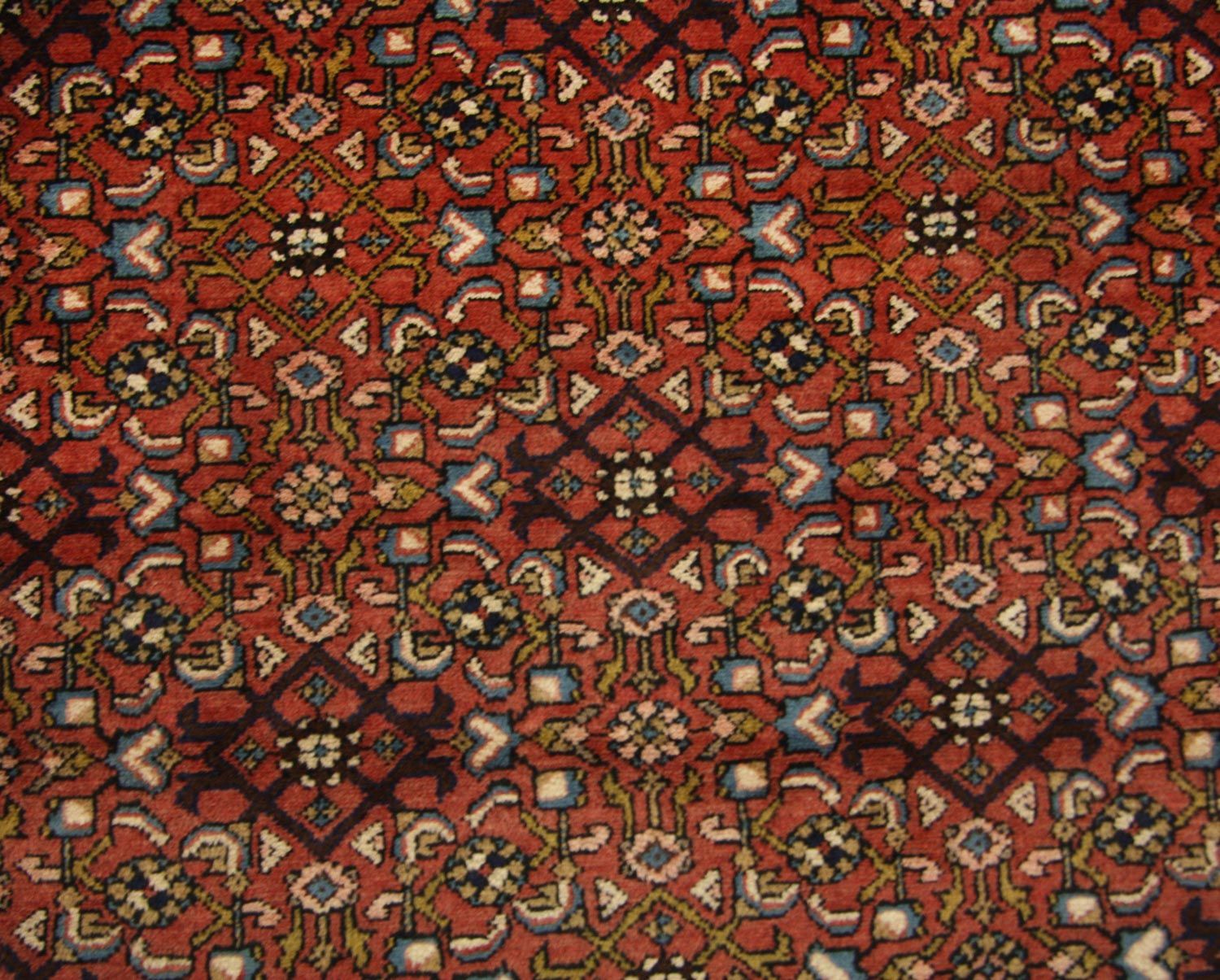 Perserteppich - Nomadic 280 x 115 cm - braun